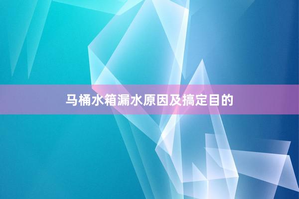 马桶水箱漏水原因及搞定目的