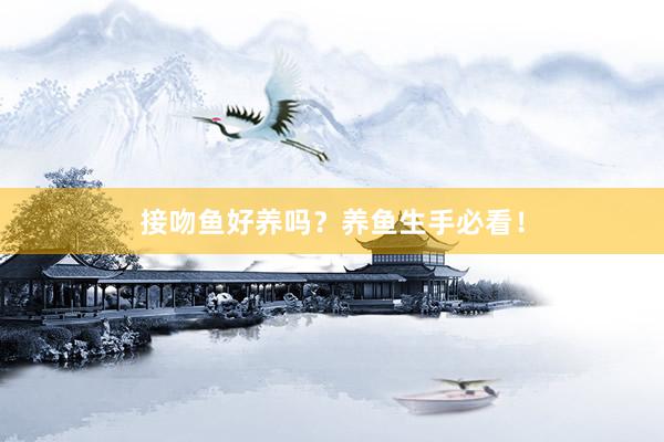 接吻鱼好养吗？养鱼生手必看！